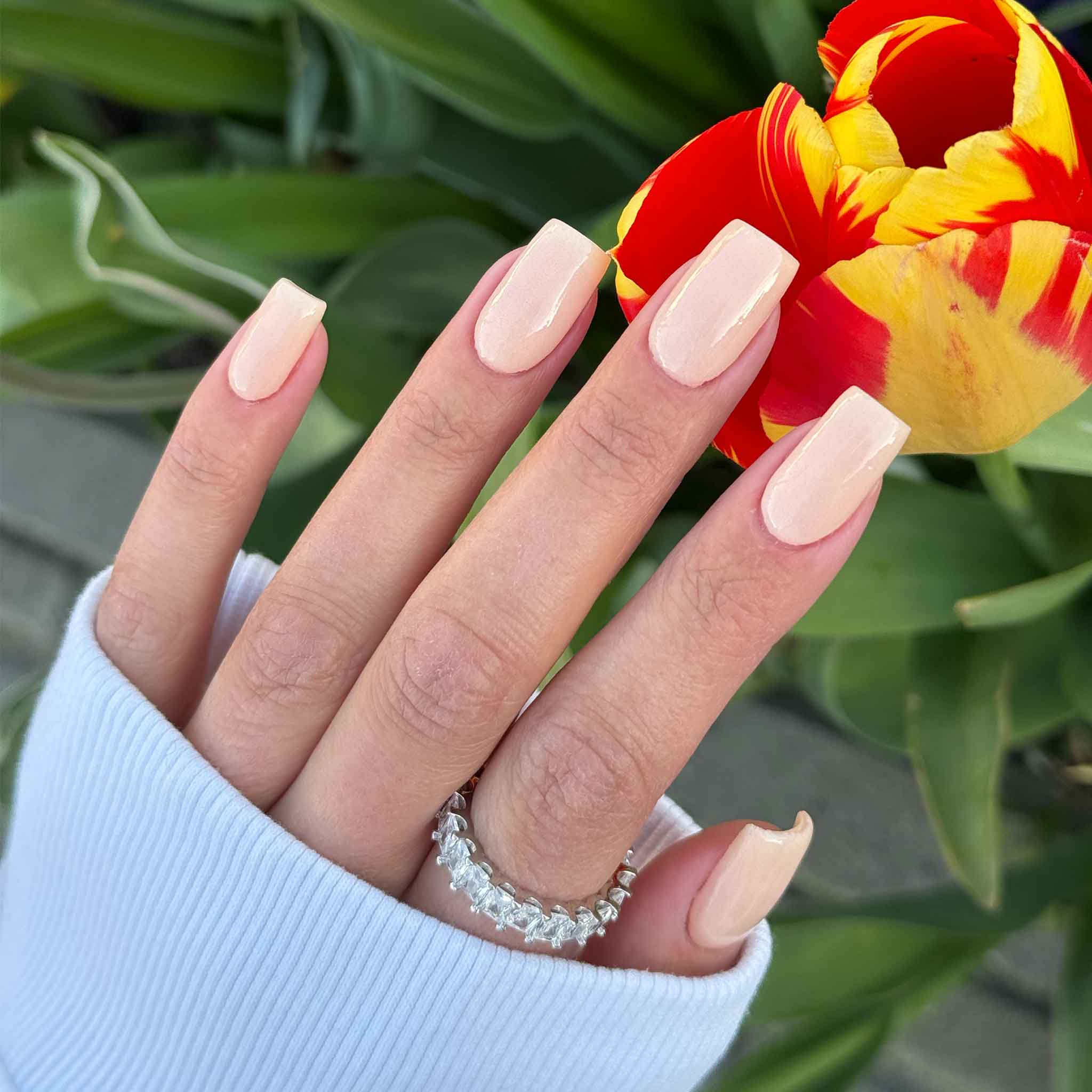 Sorbet