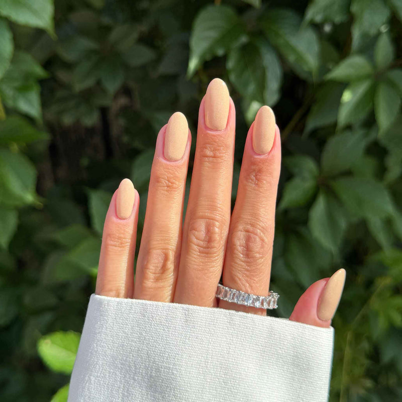 Limited Edition Cocktail Hour Shade