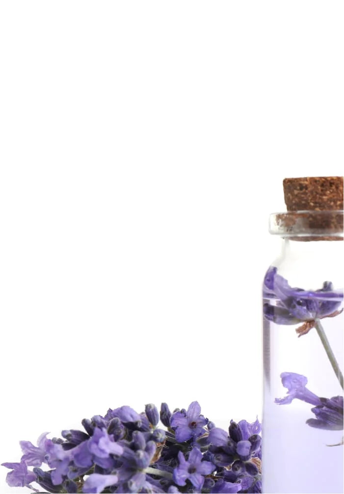 Lavender Oil